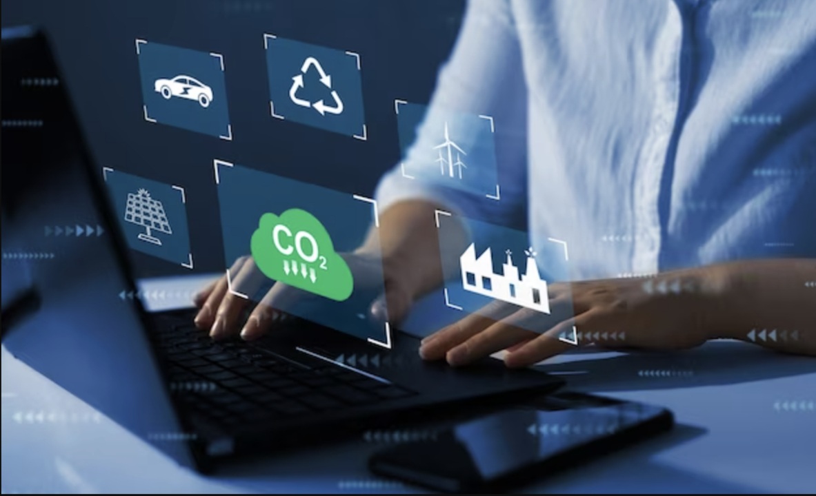 Visualización de Software Tailormade para Mercados Eléctricos